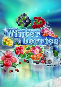 Winter Berries