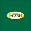 Flash Casino logo
