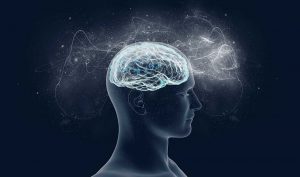 Dopamine en serotonine werken samen bij gokken
