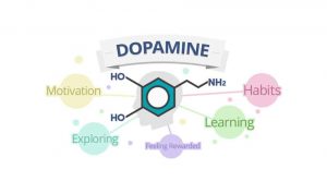 Changes in the addicted brain