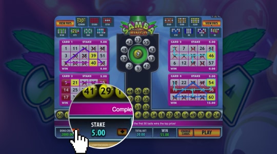 Bingokaarten kopen