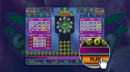 Start Samba Bingo