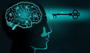Neuroplasticiteit en probleemgokken voorkomen