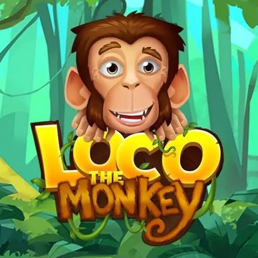 Loco the Monkey