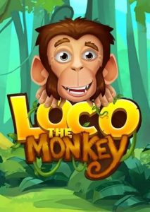 Loco the Monkey