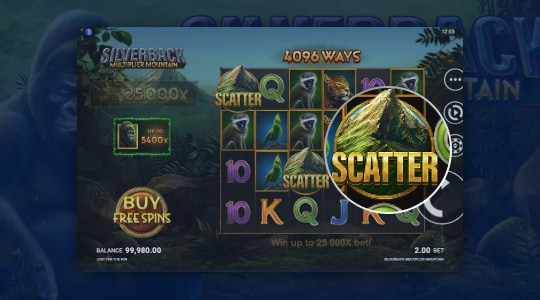 Pak drie scatters of koop de bonus