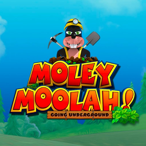 Moley Moolah