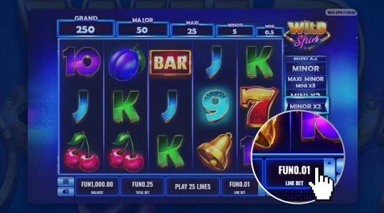 Inzetten op de Wild Spin 
