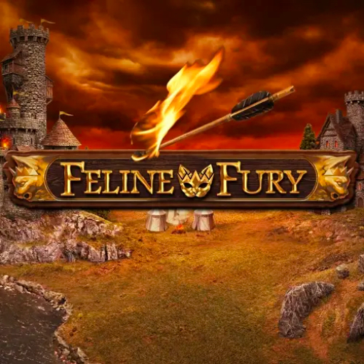 Feline Fury