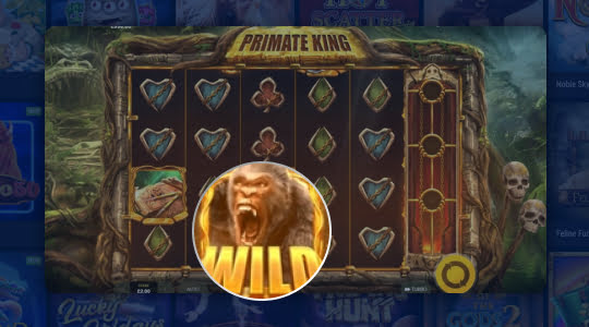 Verdien de sticky wilds 