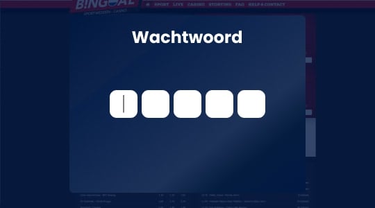 Een wachtwoord kiezen