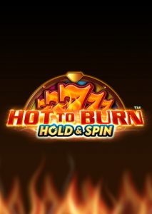 Hot to Burn Hold and Spin