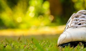Telstar en De Graafschap kiezen voor een samenwerking met Unibet
