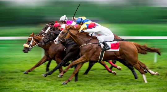Paardenraces in 2025? Alle informatie over Paardenrace Wedden! 🏇