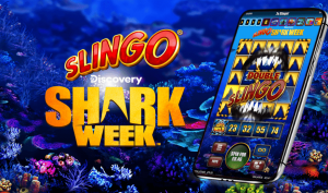 Bingoal gaat de samenwerking aan met Gaming Realms