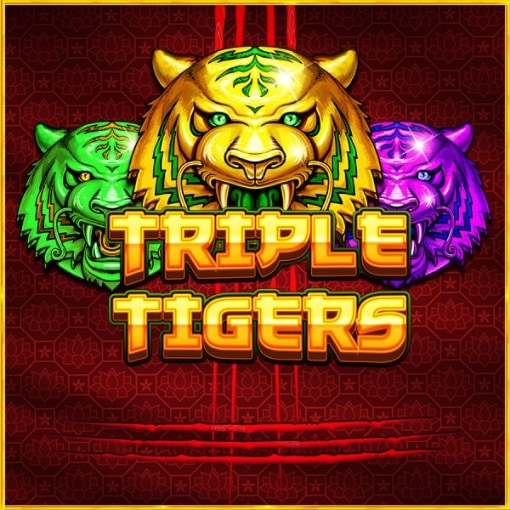 Triple Tigers