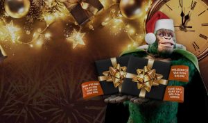 TOTO lanceert de ‘Eindejaarsactie’