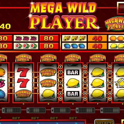 Mega Wild Player