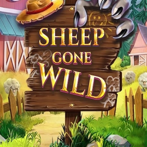 Sheep Gone Wild