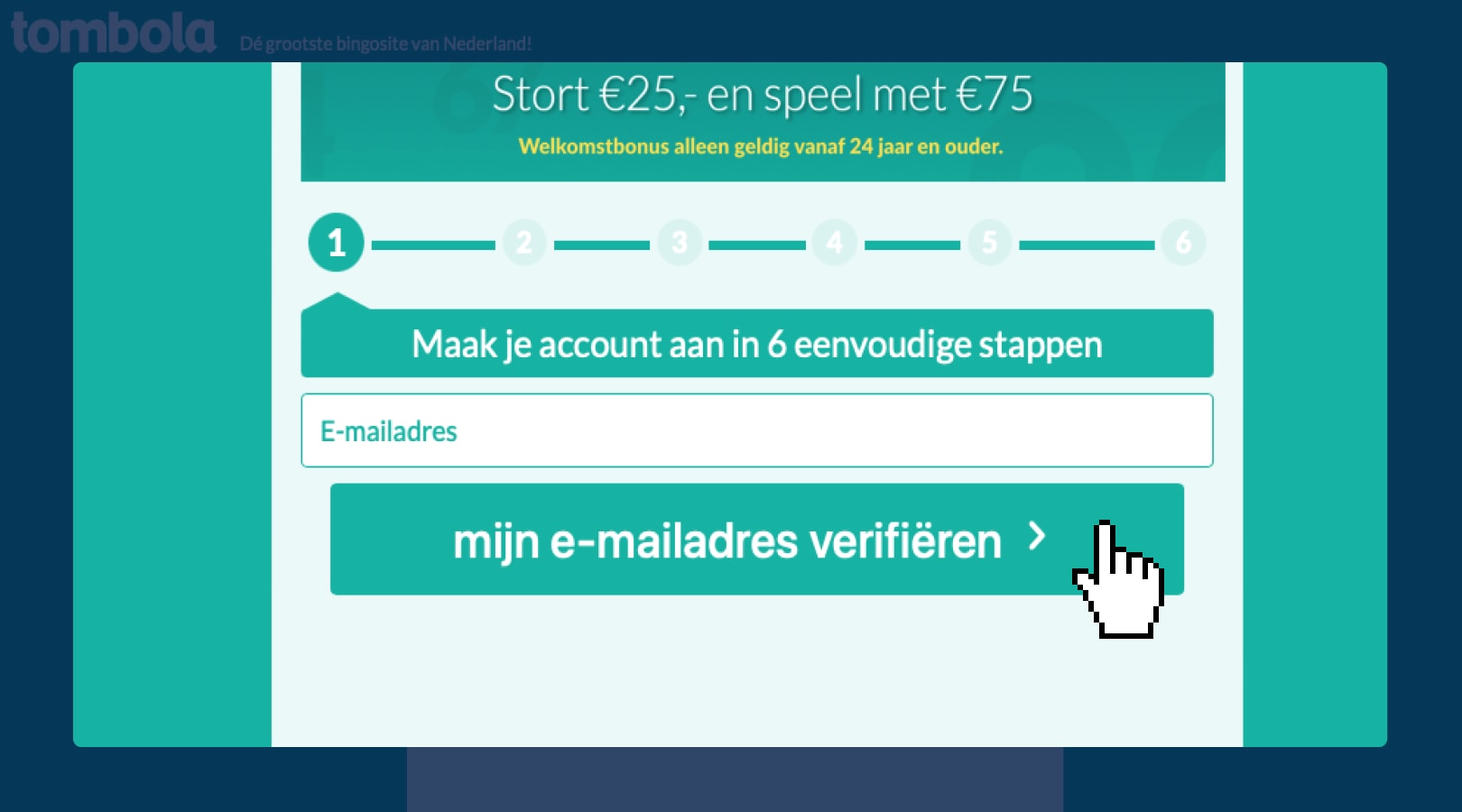 E-mailadres invullen en bevestigen 